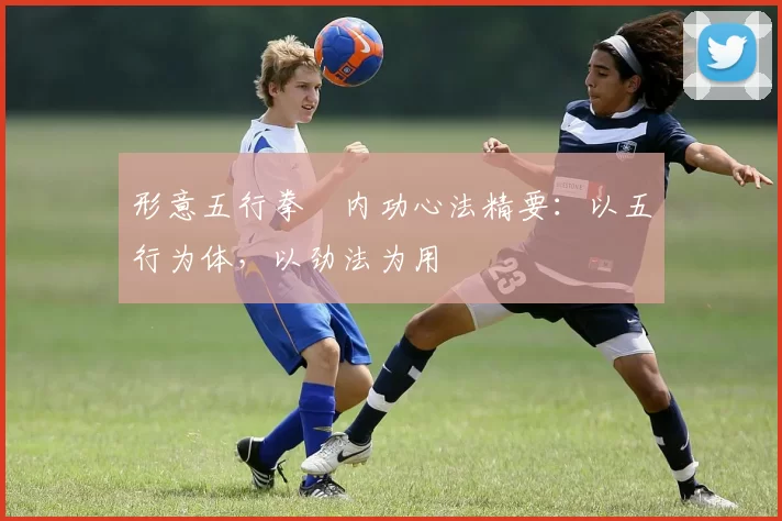 形意五行拳・内功心法精要：以五行为体，以劲法为用