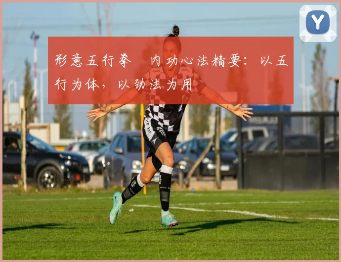 形意五行拳・内功心法精要:以五行为体,以劲法为用