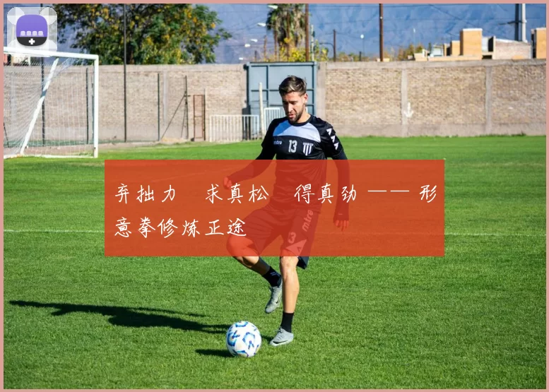 弃拙力・求真松・得真劲 —— 形意拳修炼正途