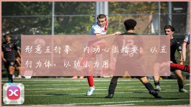 形意五行拳・内功心法精要:以五行为体,以劲法为用