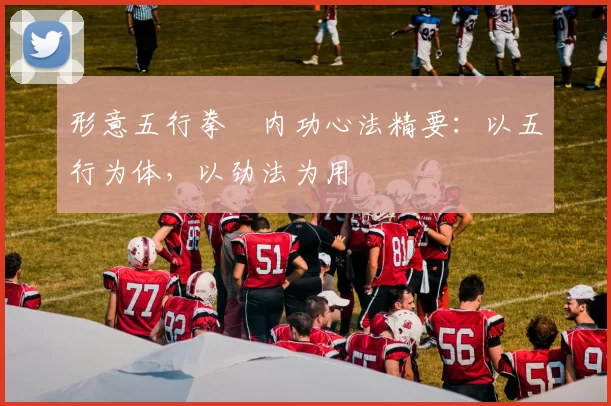 形意五行拳・内功心法精要:以五行为体,以劲法为用