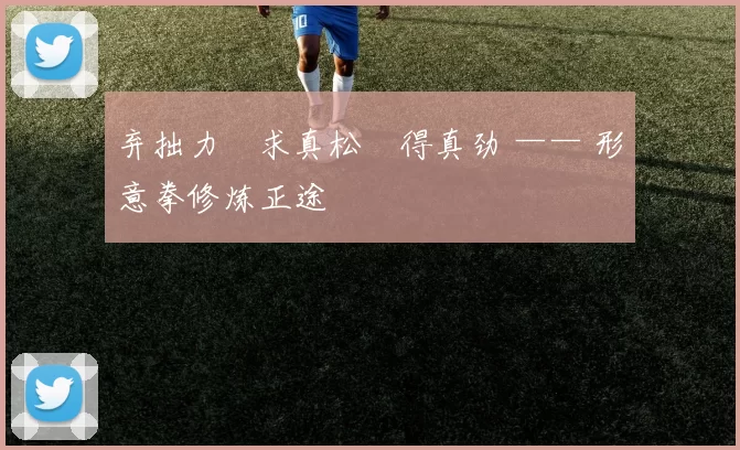 弃拙力・求真松・得真劲 —— 形意拳修炼正途