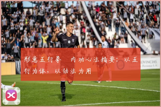 形意五行拳・内功心法精要：以五行为体，以劲法为用