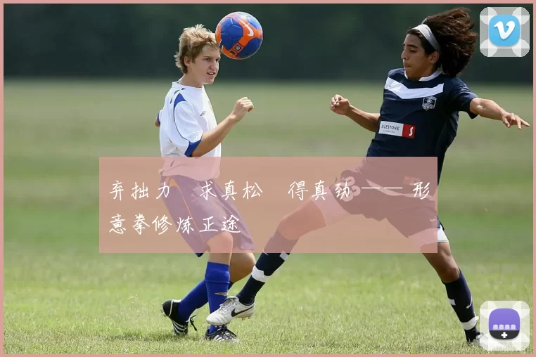 弃拙力・求真松・得真劲 —— 形意拳修炼正途