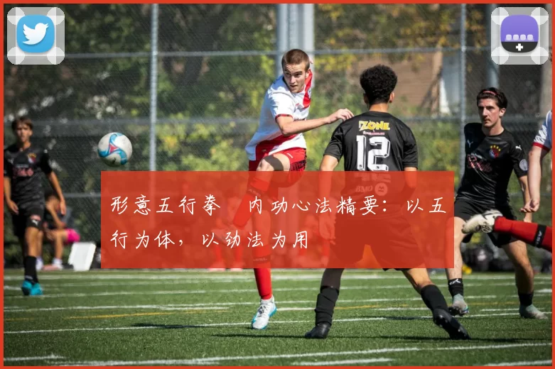 形意五行拳・内功心法精要：以五行为体，以劲法为用