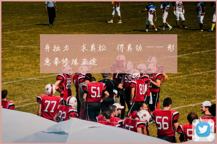 弃拙力・求真松・得真劲 —— 形意拳修炼正途