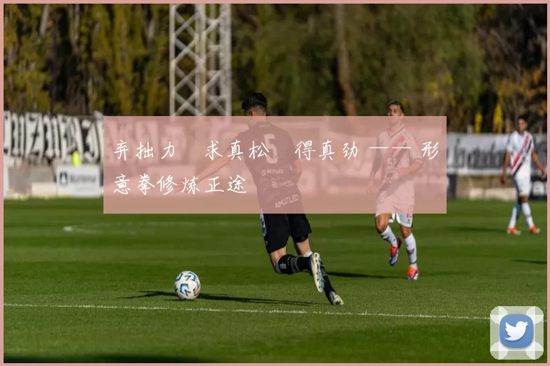 弃拙力・求真松・得真劲 —— 形意拳修炼正途