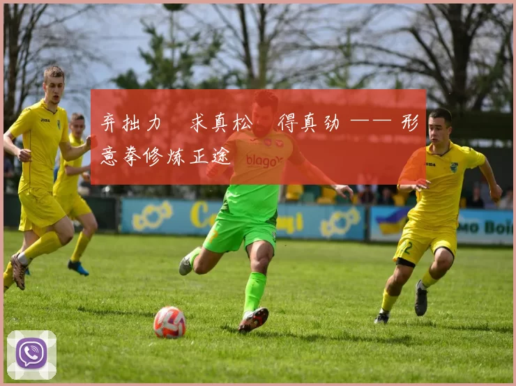 弃拙力・求真松・得真劲 —— 形意拳修炼正途