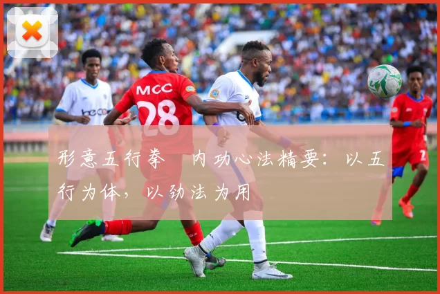 形意五行拳・内功心法精要：以五行为体，以劲法为用