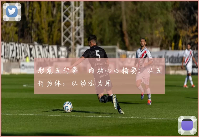 形意五行拳・内功心法精要：以五行为体，以劲法为用