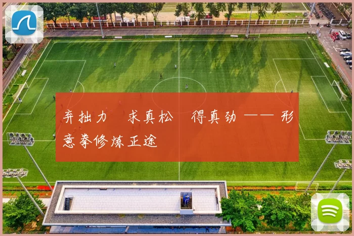 弃拙力・求真松・得真劲 —— 形意拳修炼正途