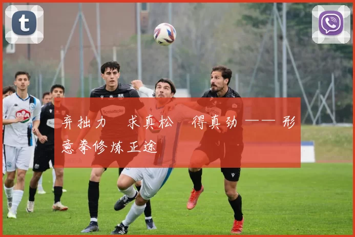 弃拙力・求真松・得真劲 —— 形意拳修炼正途