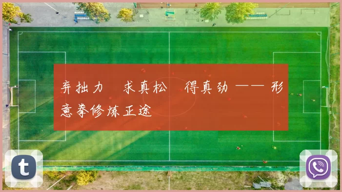 弃拙力・求真松・得真劲 —— 形意拳修炼正途