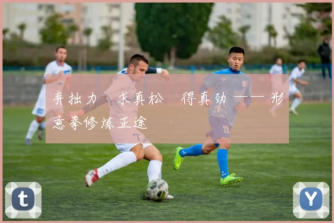 弃拙力・求真松・得真劲 —— 形意拳修炼正途