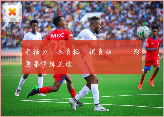 弃拙力・求真松・得真劲 —— 形意拳修炼正途