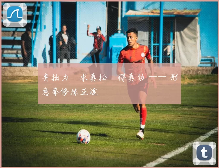 弃拙力・求真松・得真劲 —— 形意拳修炼正途