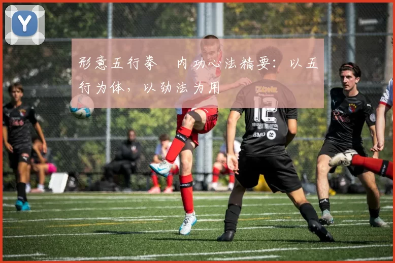 形意五行拳・内功心法精要：以五行为体，以劲法为用