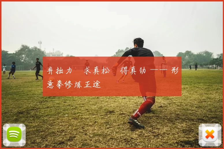 弃拙力・求真松・得真劲 —— 形意拳修炼正途