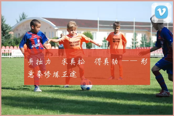 弃拙力・求真松・得真劲 —— 形意拳修炼正途