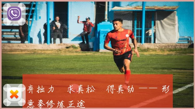 弃拙力・求真松・得真劲 —— 形意拳修炼正途