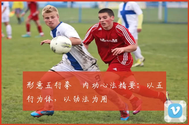 形意五行拳・内功心法精要：以五行为体，以劲法为用