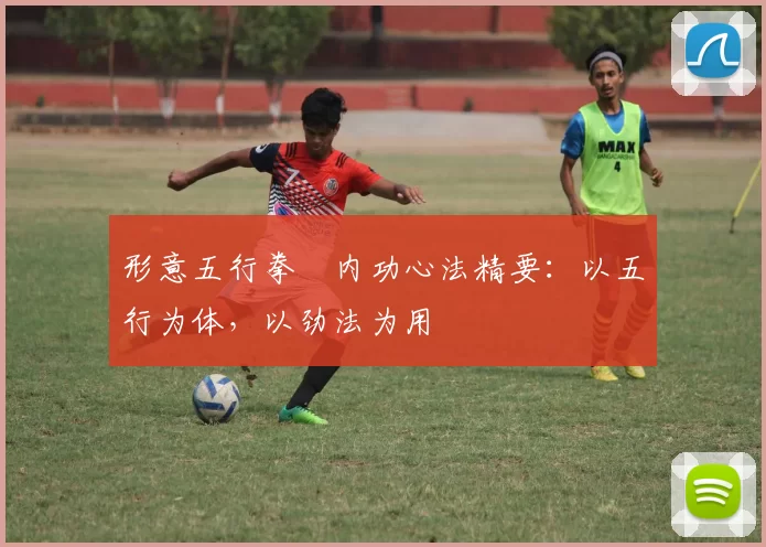 形意五行拳・内功心法精要：以五行为体，以劲法为用