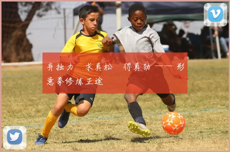 弃拙力・求真松・得真劲 —— 形意拳修炼正途