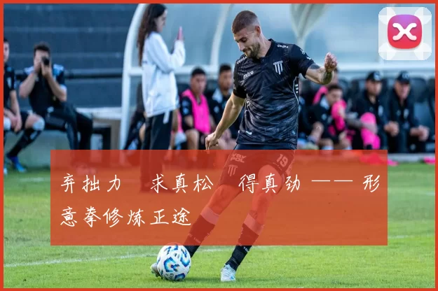 弃拙力・求真松・得真劲 —— 形意拳修炼正途