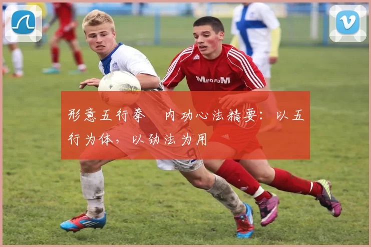 形意五行拳・内功心法精要：以五行为体，以劲法为用