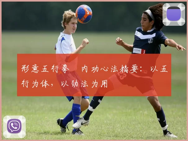 形意五行拳・内功心法精要:以五行为体,以劲法为用