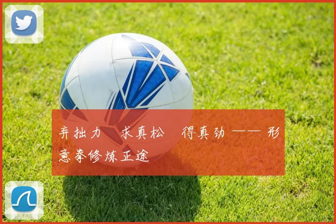 弃拙力・求真松・得真劲 —— 形意拳修炼正途