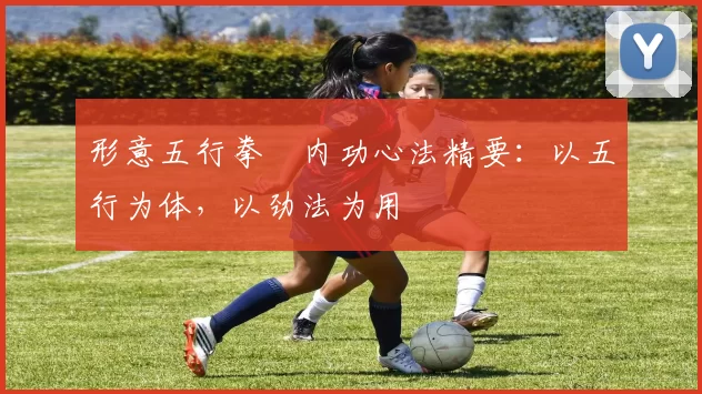 形意五行拳・内功心法精要：以五行为体，以劲法为用