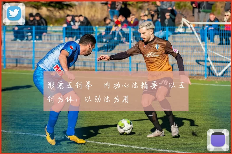 形意五行拳・内功心法精要：以五行为体，以劲法为用