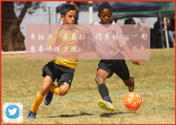 弃拙力・求真松・得真劲 —— 形意拳修炼正途