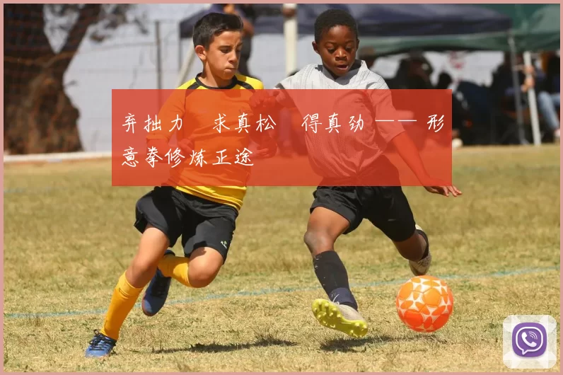 弃拙力・求真松・得真劲 —— 形意拳修炼正途