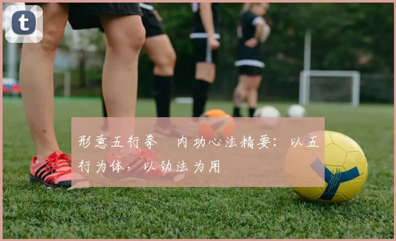 形意五行拳・内功心法精要:以五行为体,以劲法为用