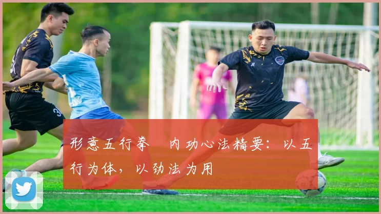 形意五行拳・内功心法精要:以五行为体,以劲法为用