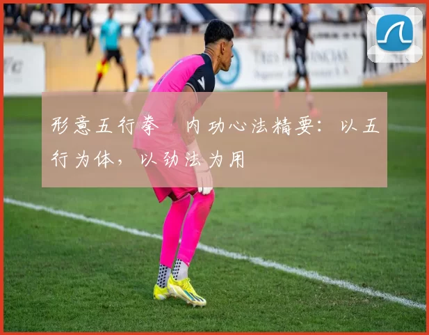 形意五行拳・内功心法精要：以五行为体，以劲法为用