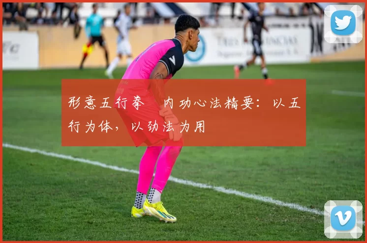 形意五行拳・内功心法精要：以五行为体，以劲法为用