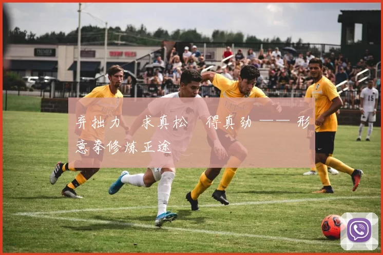 弃拙力・求真松・得真劲 —— 形意拳修炼正途