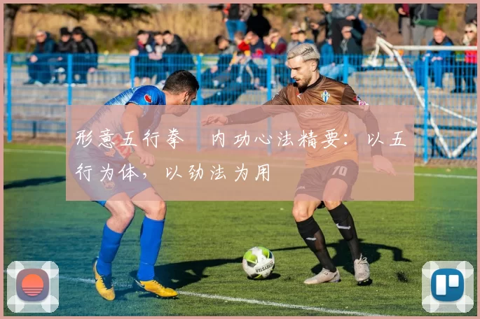 形意五行拳・内功心法精要：以五行为体，以劲法为用