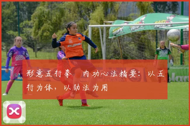 形意五行拳・内功心法精要:以五行为体,以劲法为用