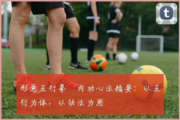 形意五行拳・内功心法精要：以五行为体，以劲法为用