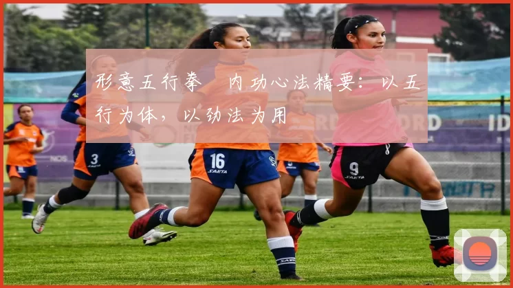 形意五行拳・内功心法精要：以五行为体，以劲法为用