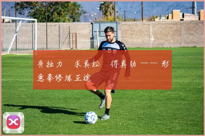 弃拙力・求真松・得真劲 —— 形意拳修炼正途