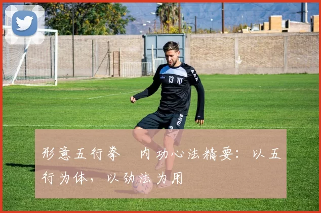 形意五行拳・内功心法精要：以五行为体，以劲法为用