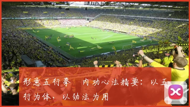 形意五行拳・内功心法精要：以五行为体，以劲法为用