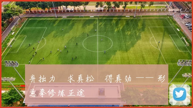 弃拙力・求真松・得真劲 —— 形意拳修炼正途