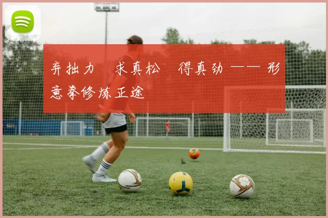 弃拙力・求真松・得真劲 —— 形意拳修炼正途