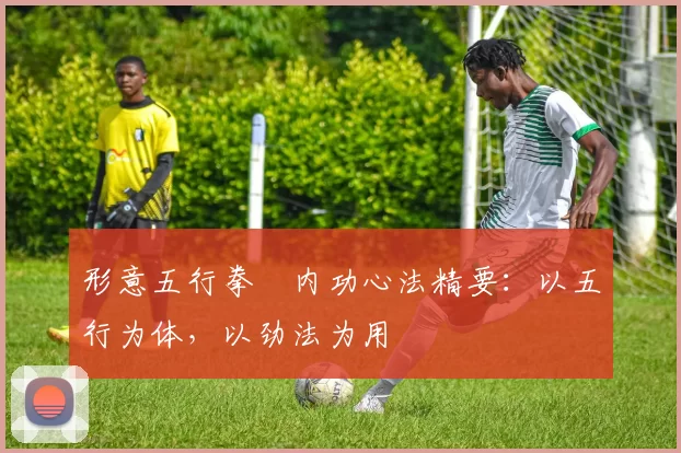 形意五行拳・内功心法精要：以五行为体，以劲法为用